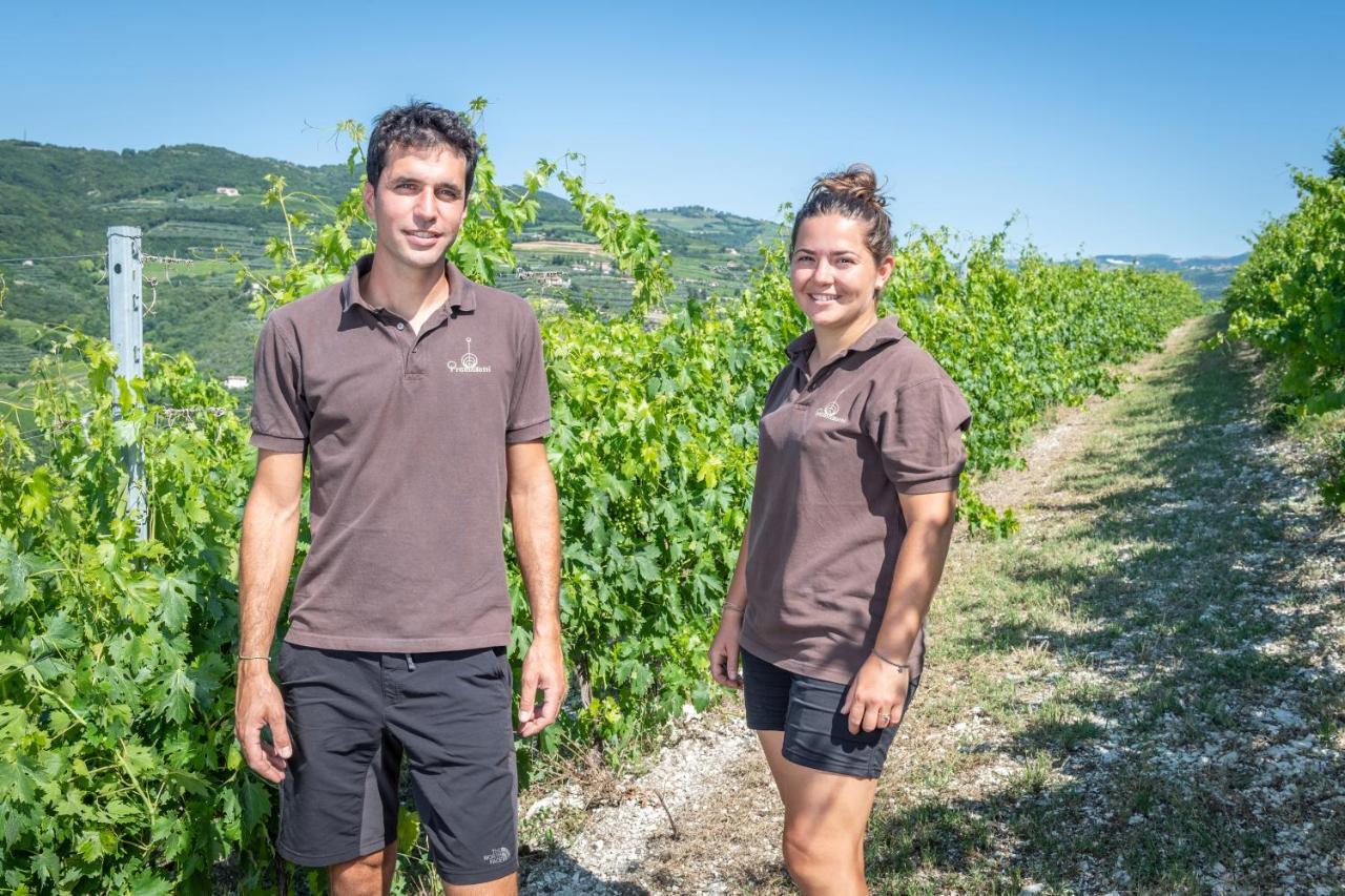 Casa di campagna Relais Di Campagna I Tamasotti Mezzane di Sotto