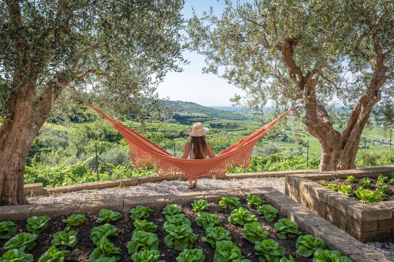 Relais Di Campagna I Tamasotti Country house Mezzane di Sotto