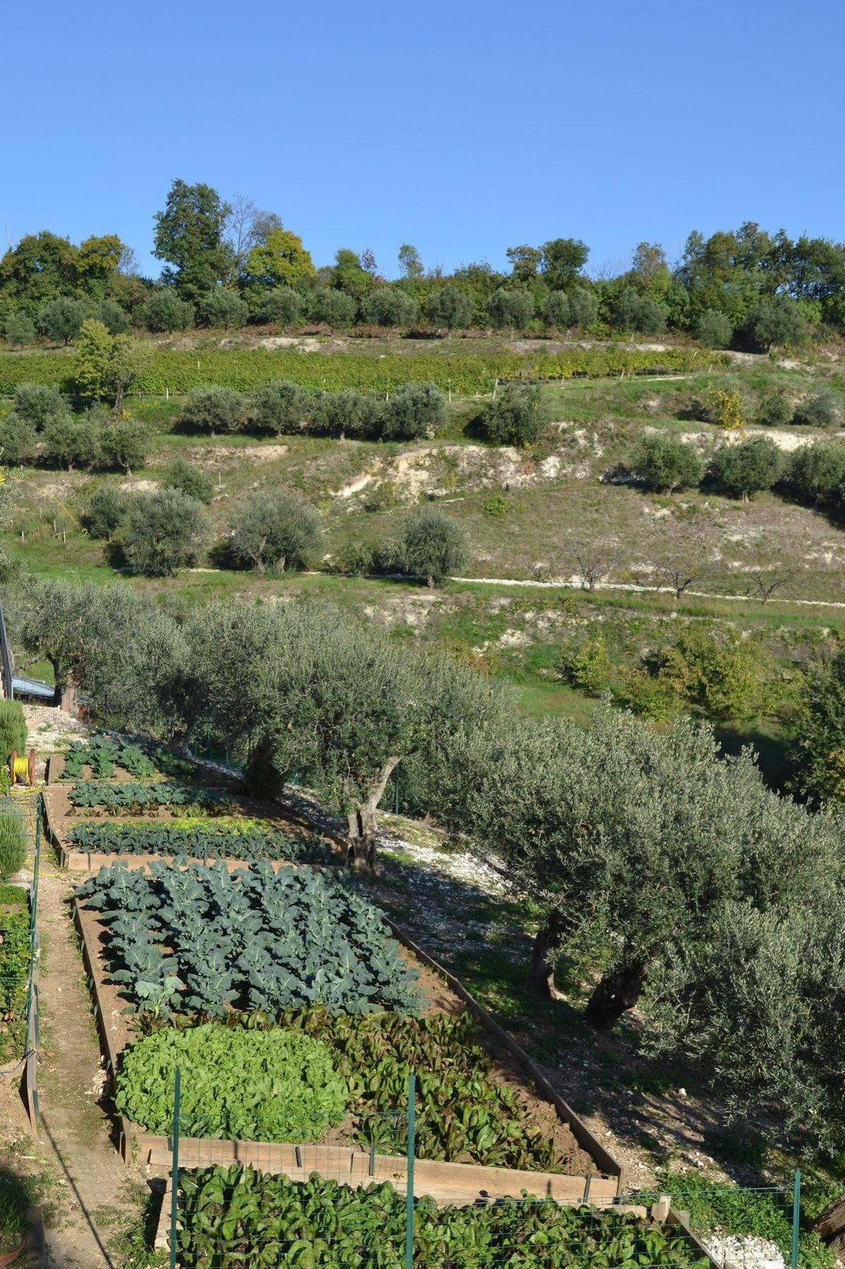 Country house Relais Di Campagna I Tamasotti Mezzane di Sotto